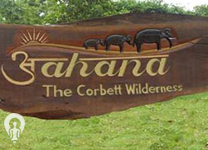 holidays-in-Corbett