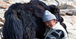 sightseen-manali2