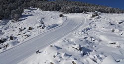 auli-holiday-package