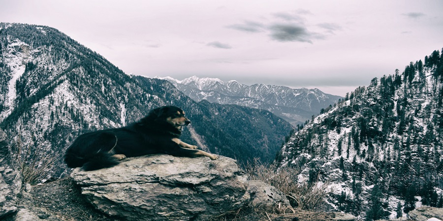kasol-slider5