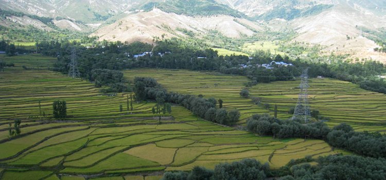himachal-tour