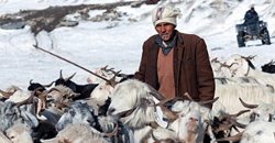 manali-to-delhi1