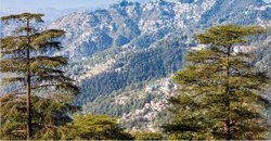 shimla-kullu-manali-tour-package