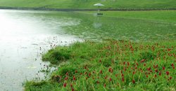 roopkund1.1