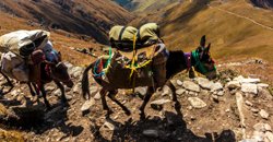 roopkund5.2