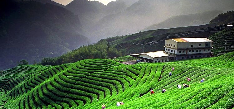 nainital-holiday-package