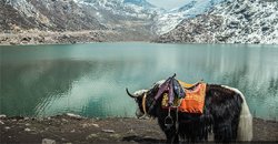 holiday-in-sikkim