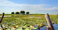 day222-srinagar