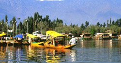 day333-srinagar