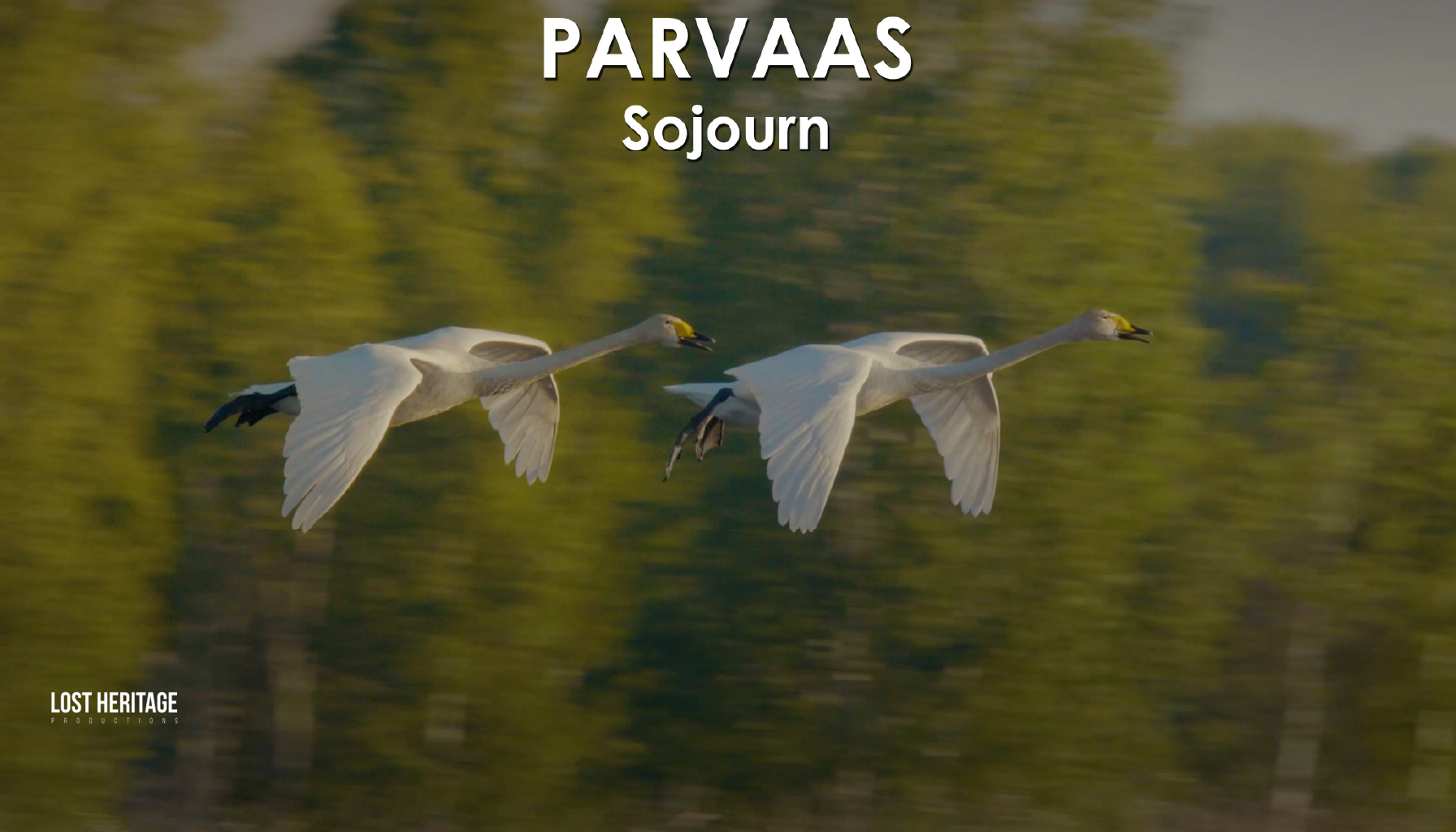 Parvaas: Sojourn