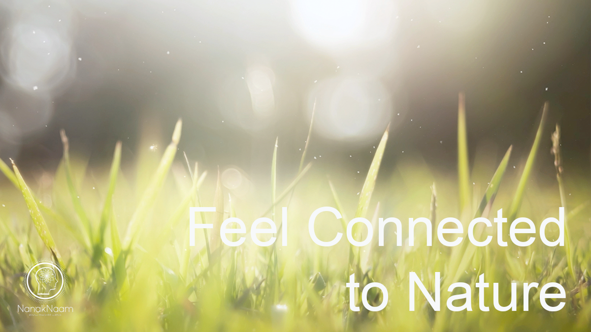 Feel Connected To Nature