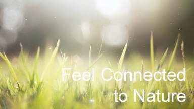 Feel Connected To Nature