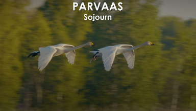 Parvaas: Sojourn