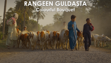 Rangeen Guldasta: Colourful Bouquet
