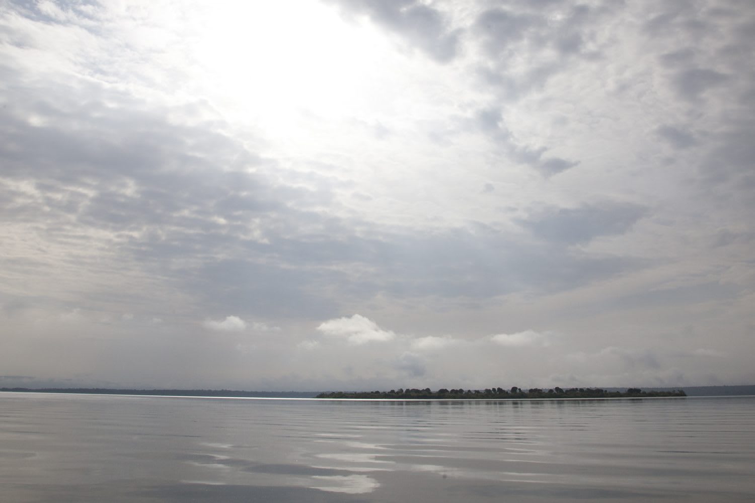 2 Days Akagera Safari