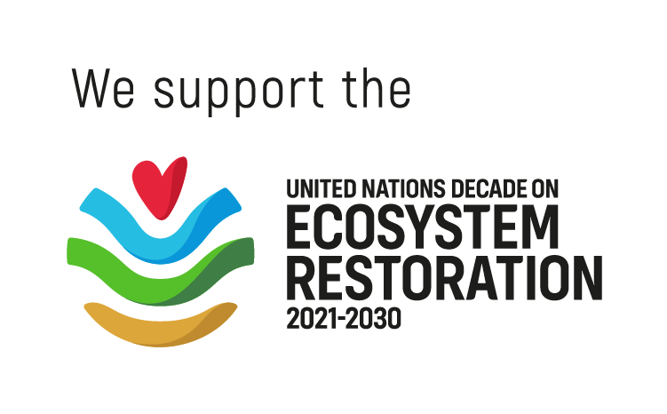 UN Decade on Ecocystem Restoration Logo