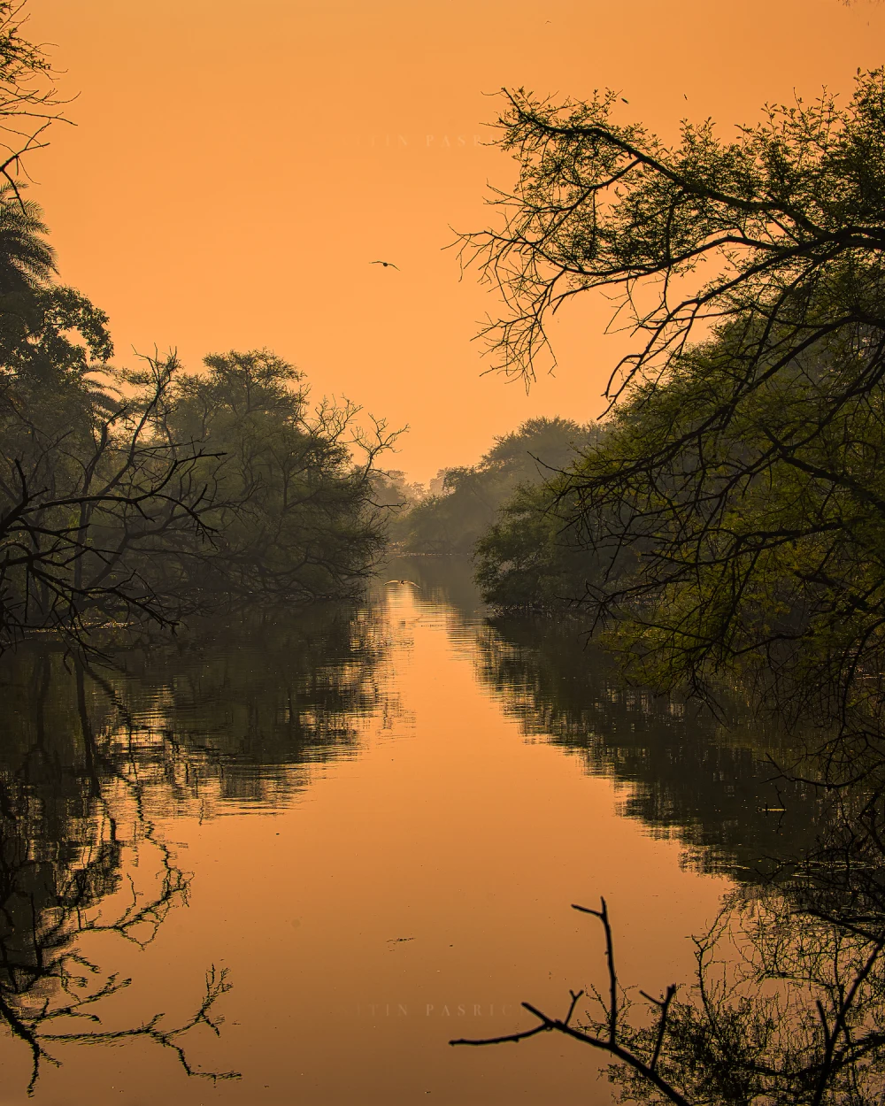Reflections - Image 2