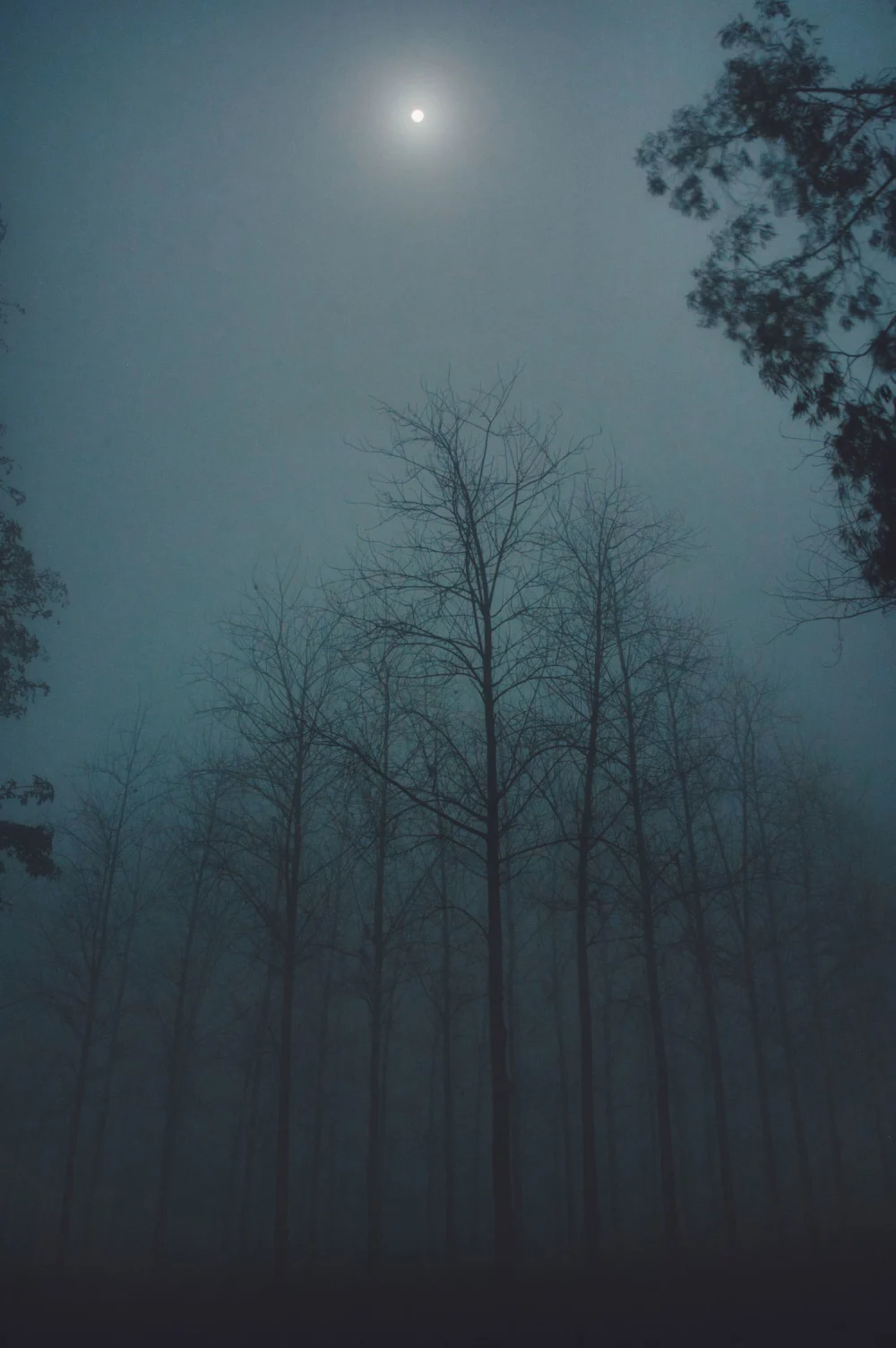Sway - Image 2