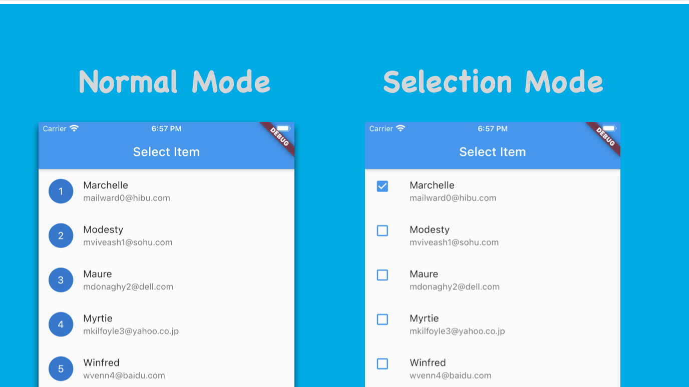 lst of reusable flutter widgets