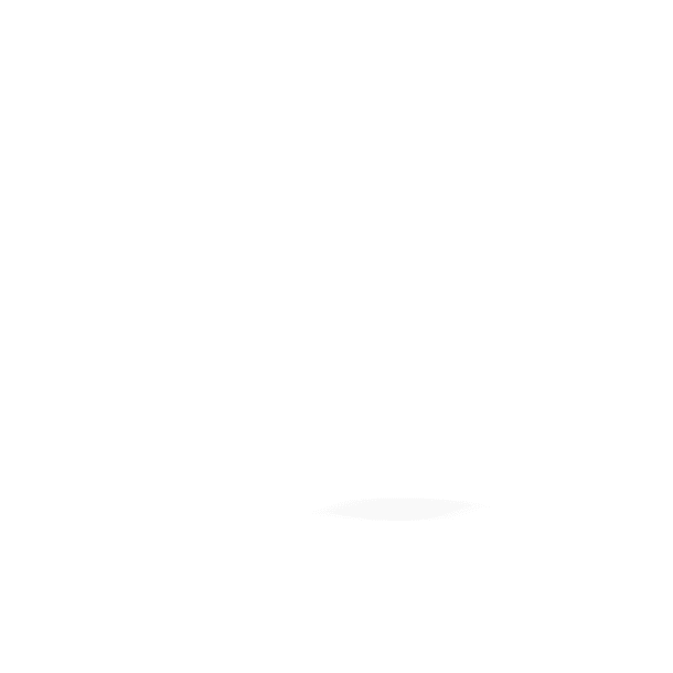 DISEÑO Y USER INTERFACE