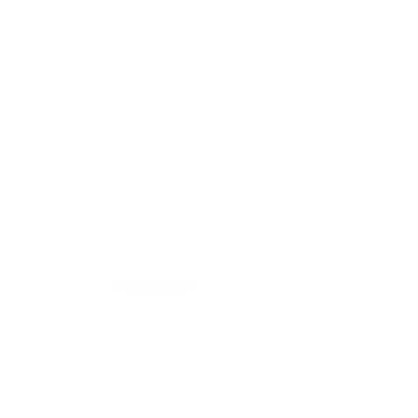 DISEÑO Y USER INTERFACE