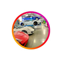 Hirella ITALIA DIESEL BOSCH AND PORSCHE