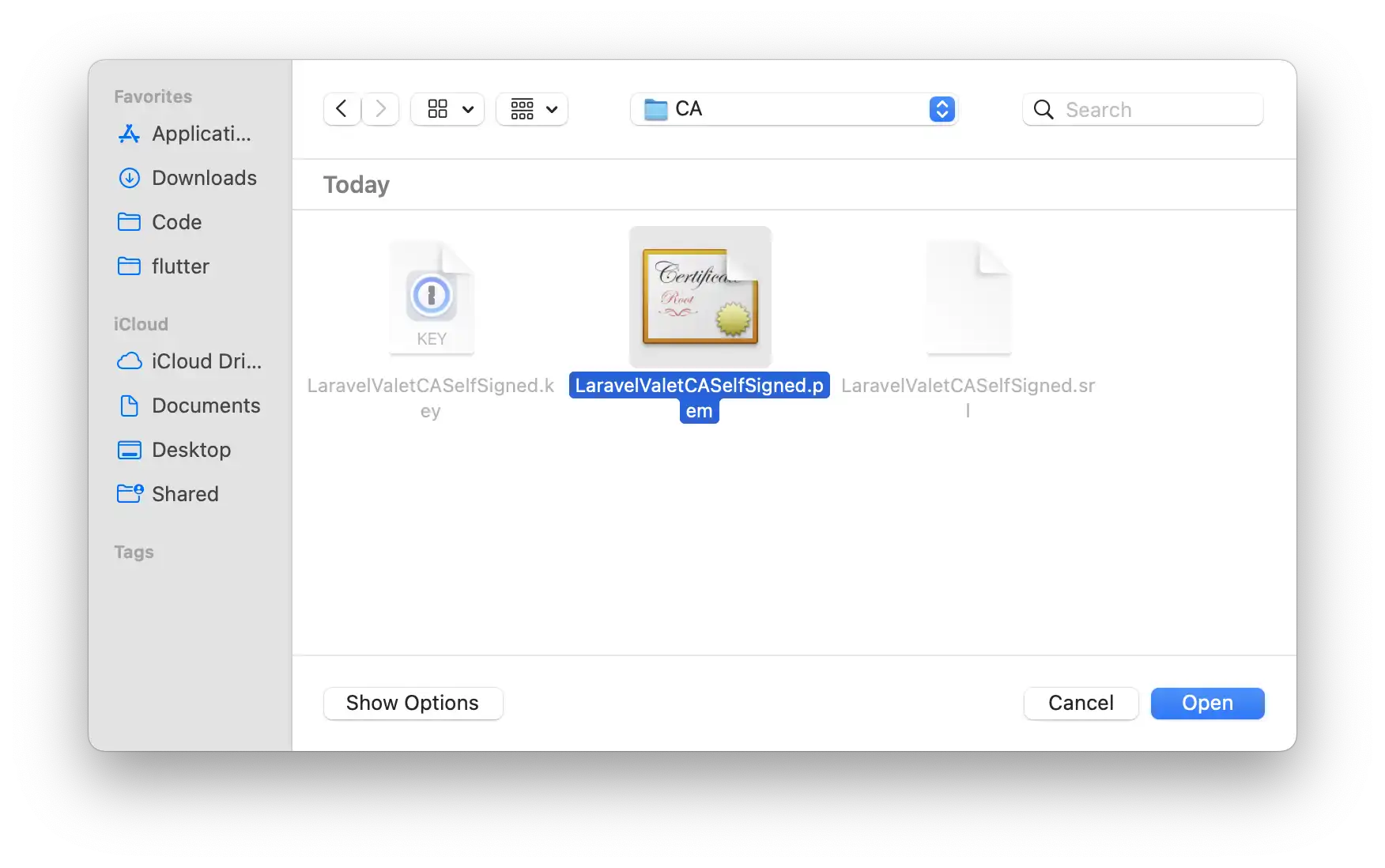 a screenshot of a computer screen with an open dialog for selcting a file