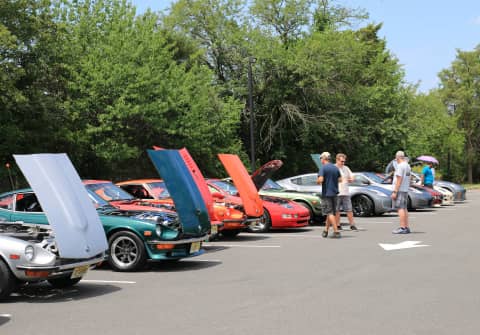 Nissan & Datsun Z Cars lined up along a green tree line, sporting silver, green, red, orange, gray and black.