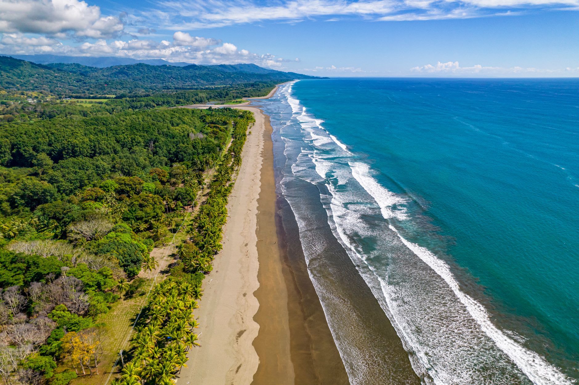 Vue aérienne d’une longue plage du Pacifique costaricien bordée de forêt verte et de cocotiers, mer turquoise sous un ciel bleu de saison sèche