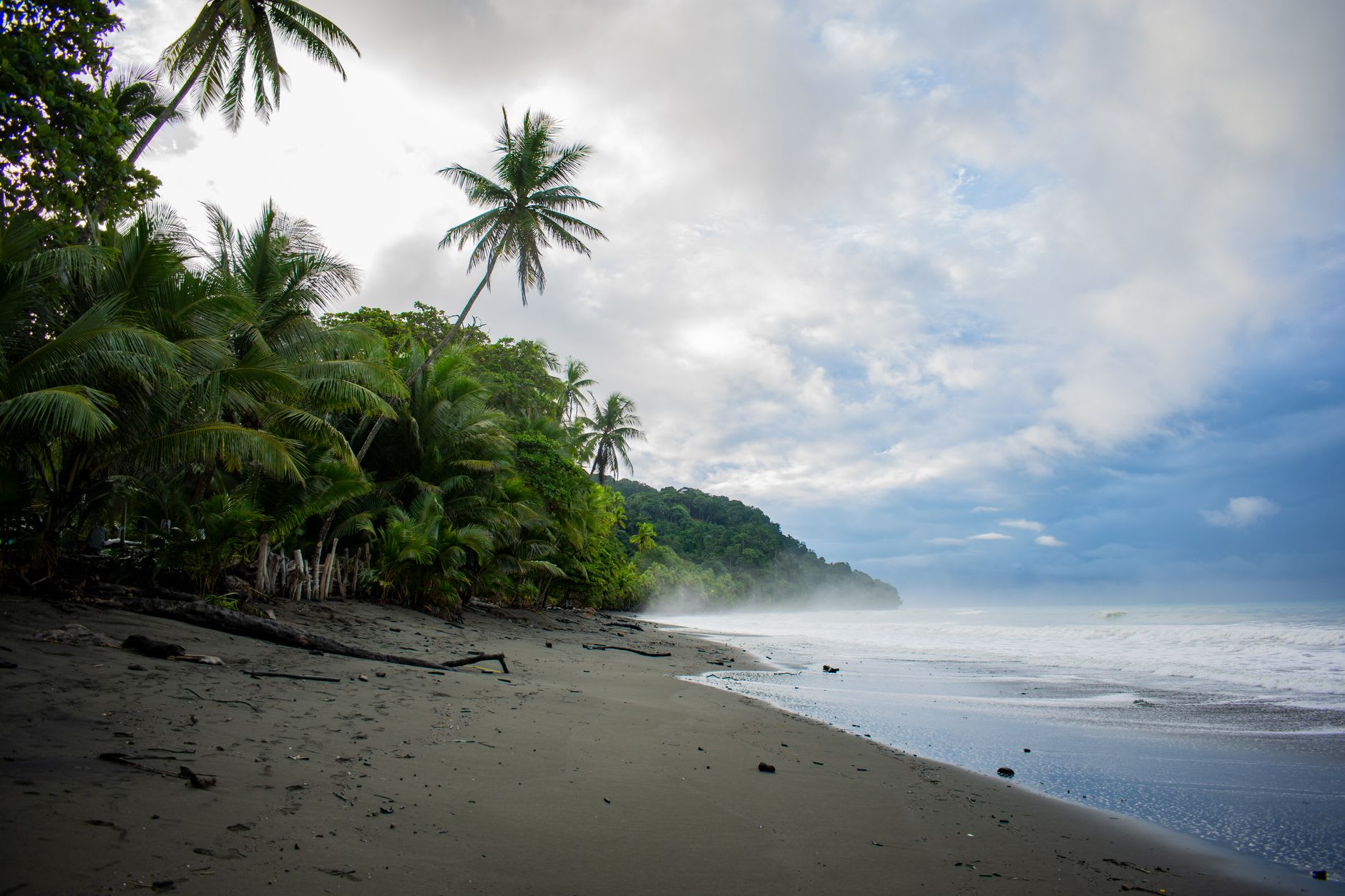 Plage de sable sombre déserte sous un ciel bas et brumeux, jungle plongeant jusqu’à la mer