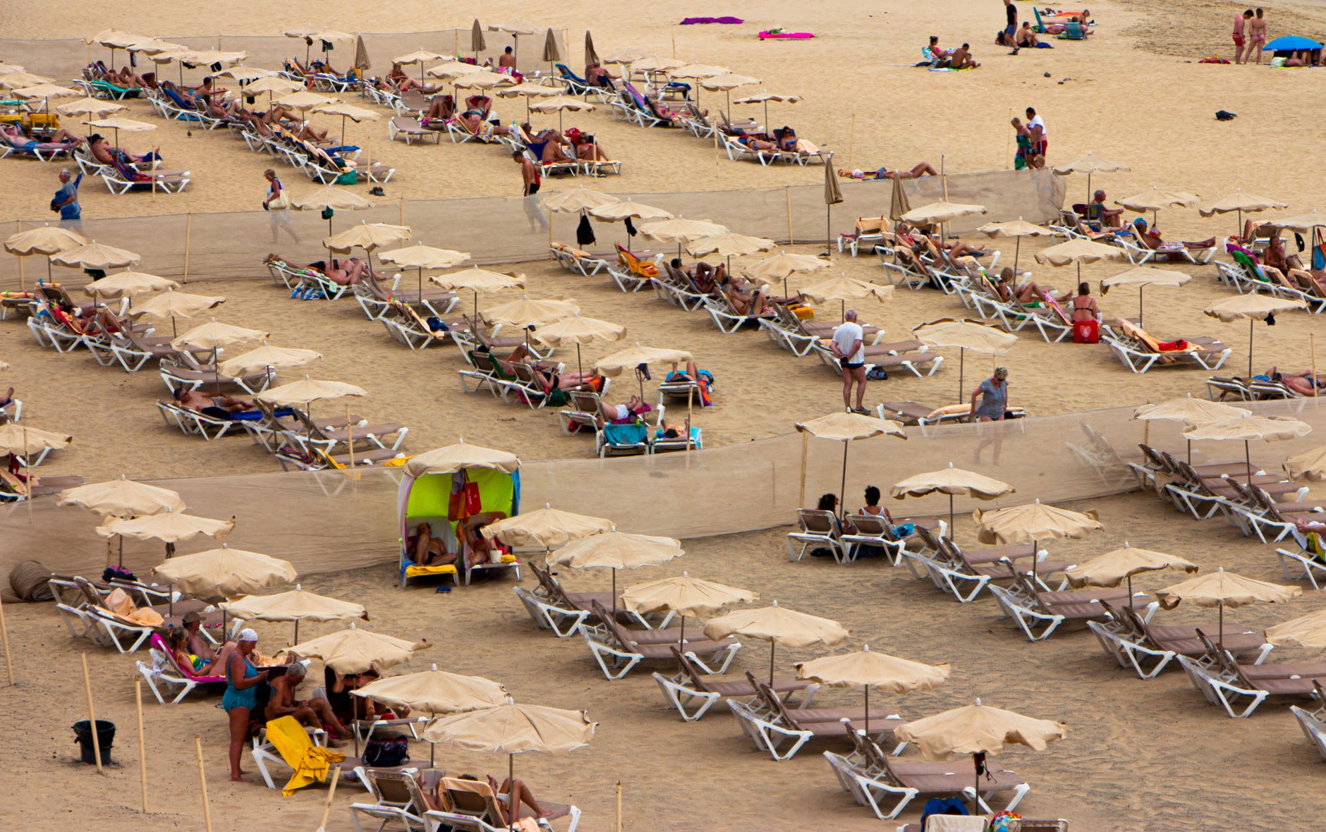 Longues rangées de transats et de parasols beiges serrés sur le sable, vues en plongée