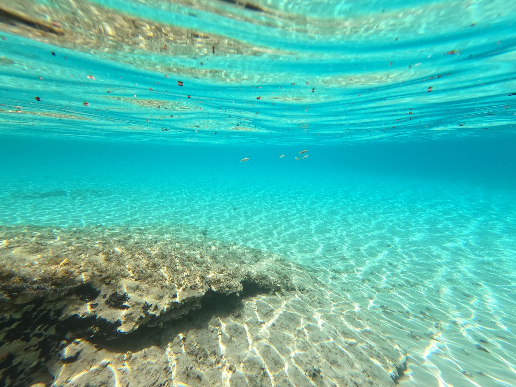 Vue sous la surface d'une eau turquoise très claire laissant voir un fond de sable clair et quelques petits poissons