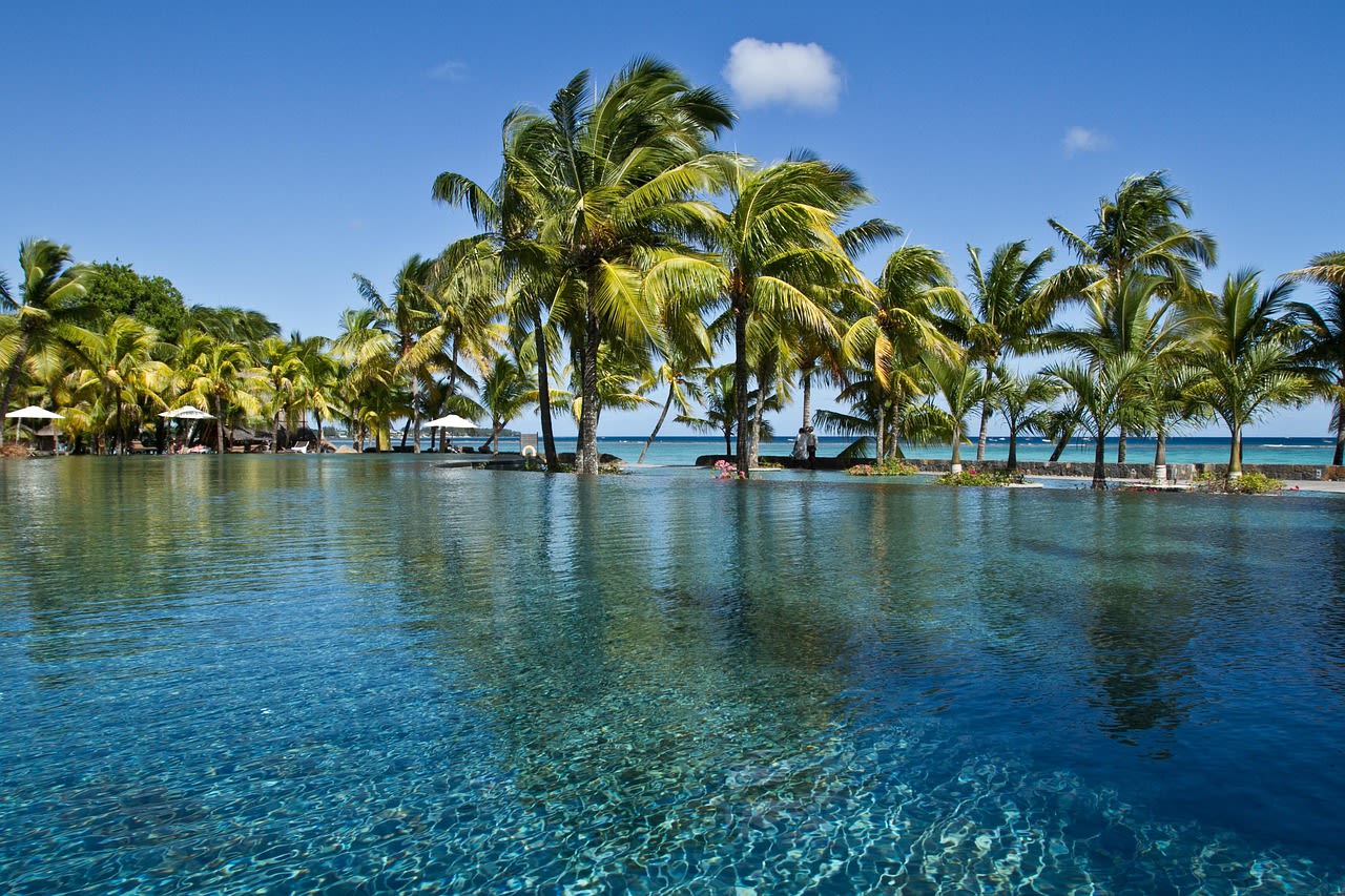 Piscine à débordement d’un hôtel bordée de cocotiers penchés, océan et récif en arrière-plan sous un ciel dégagé