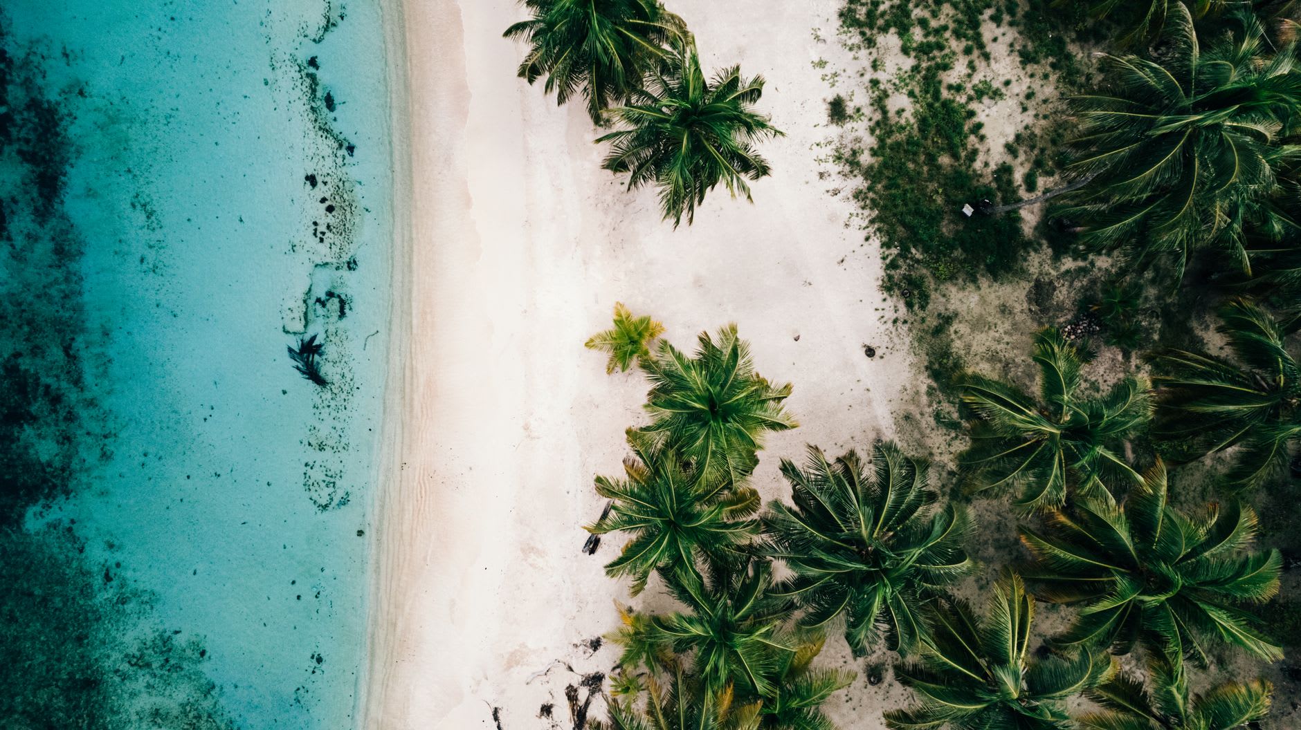 Vue aérienne d’une plage de sable blanc bordée de cocotiers touffus, lagon turquoise calme et désert