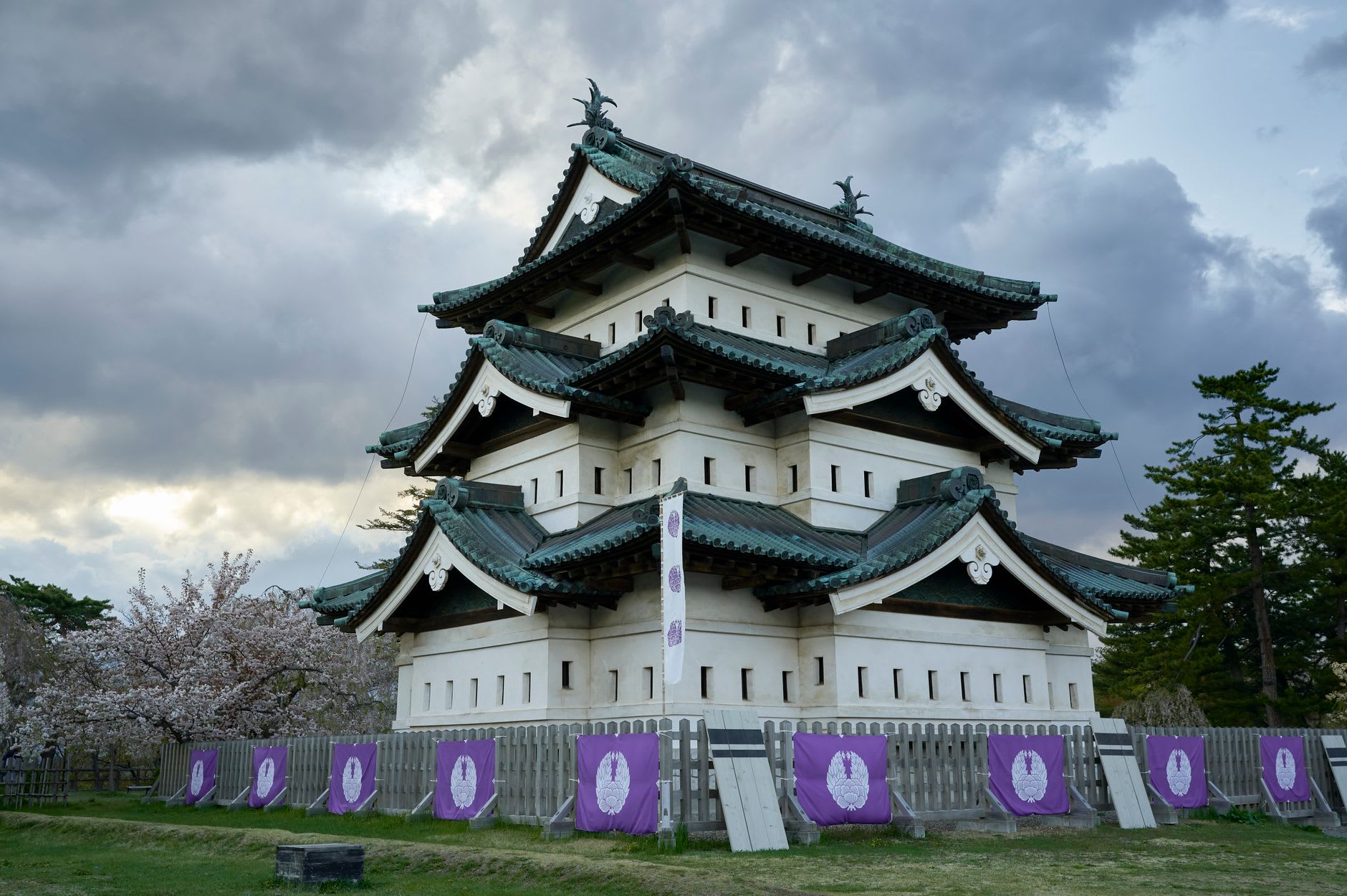 Donjon blanc du château de Hirosaki sous un ciel nuageux, cerisiers en fleur à gauche et bannières violettes le long d’une palissade de bois