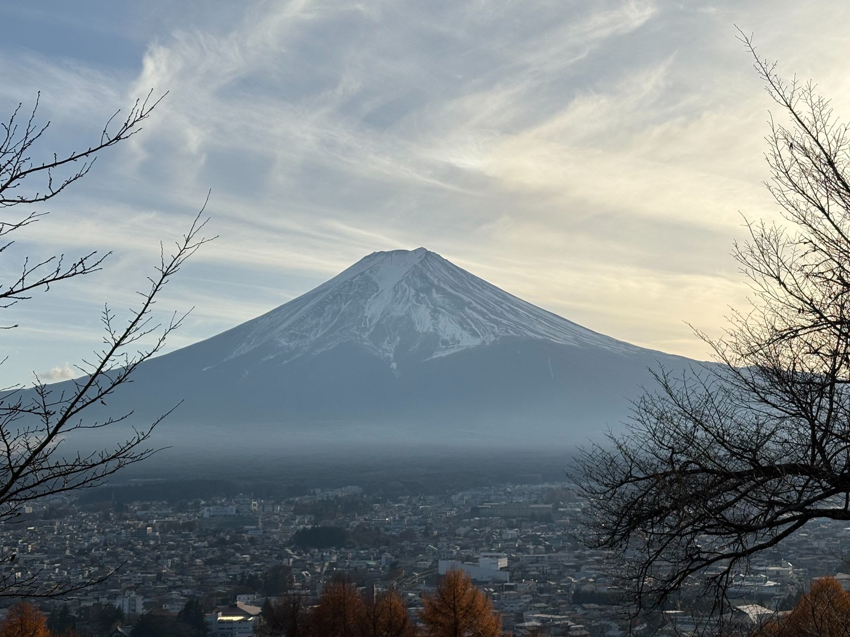 Sommet enneigé du mont Fuji dominant une ville sous un ciel d’hiver voilé, arbres nus au premier plan