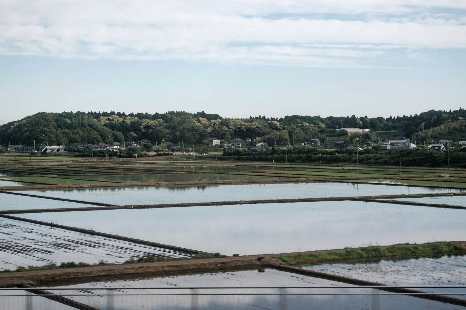 Rizières inondées reflétant le ciel gris, jeunes plants alignés, village et collines boisées à l’arrière-plan à la saison du repiquage