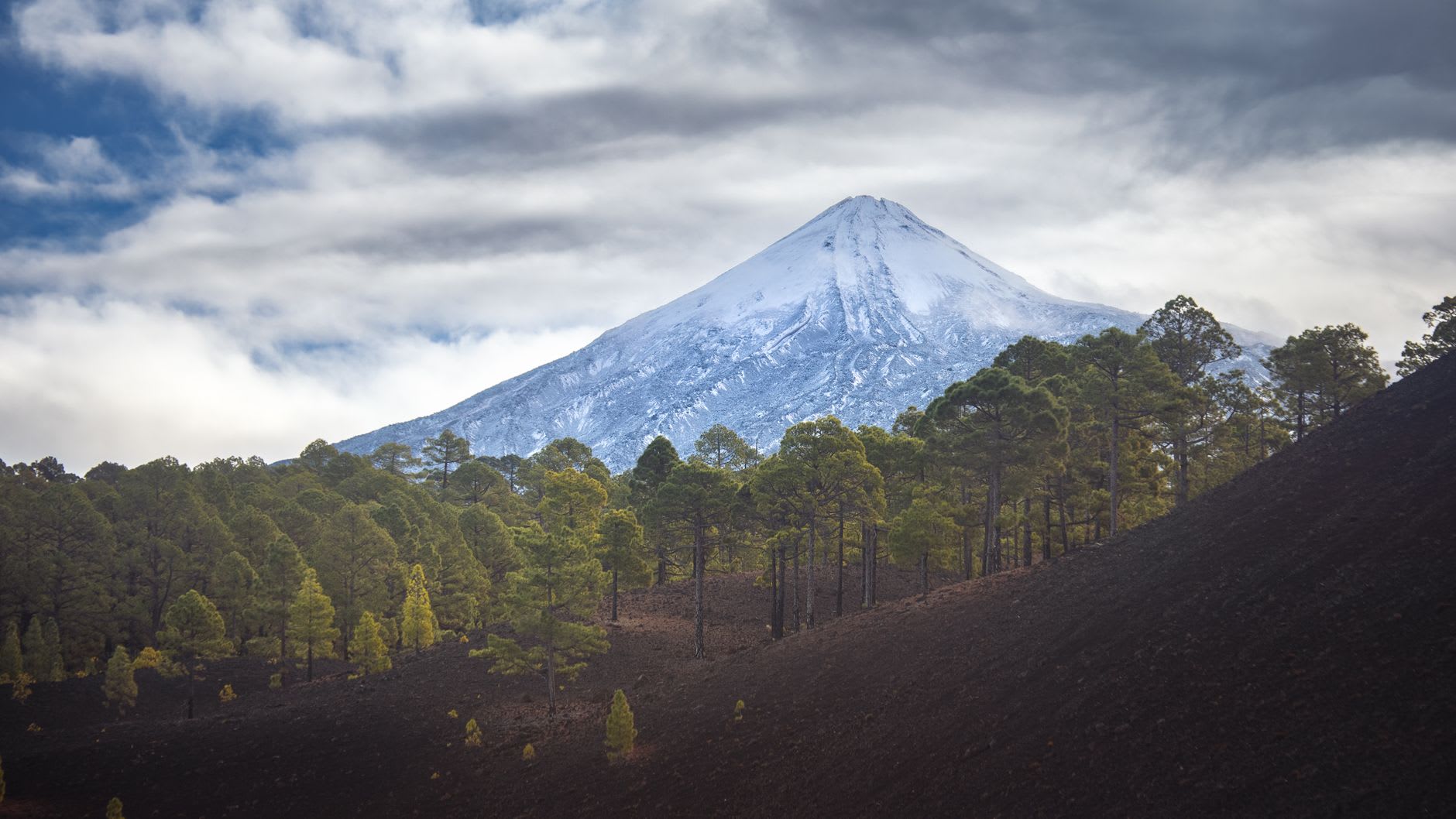 Cône enneigé du Teide sous un ciel de nuages sombres, forêt de pins canariens et pente de lave noire au premier plan