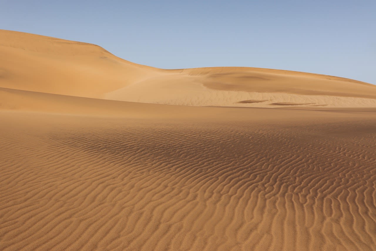 Champ de dunes de sable ocre aux crêtes finement ridées par le vent, sous un ciel bleu vide