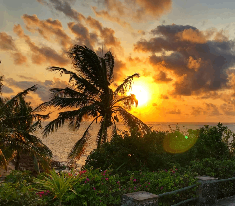 4 Days 3 Nights Mombasa Family Holiday Package