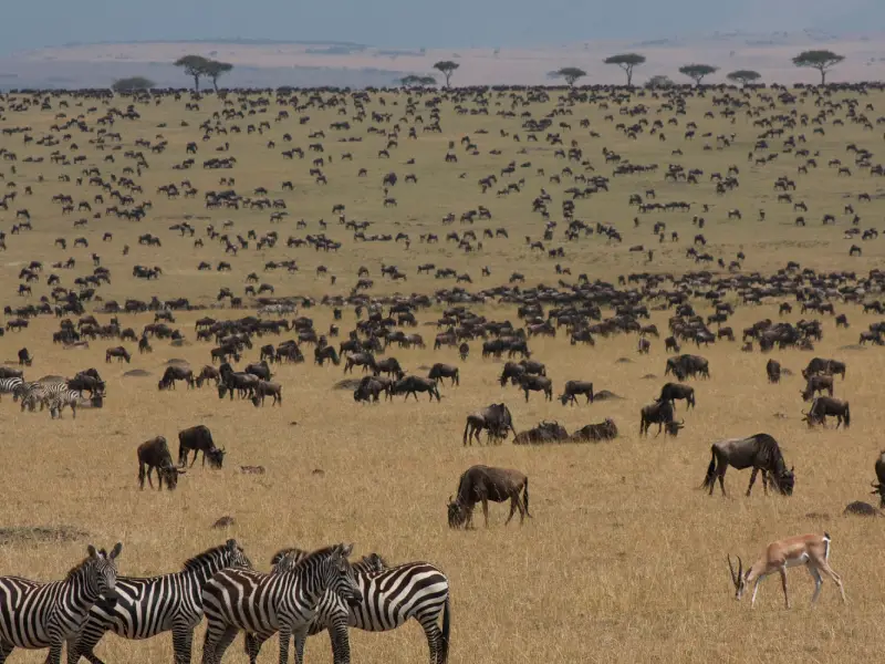Your Africa. Your people. Your story.