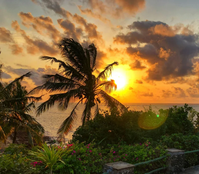 The Tsavo Wilds and Diani Escape