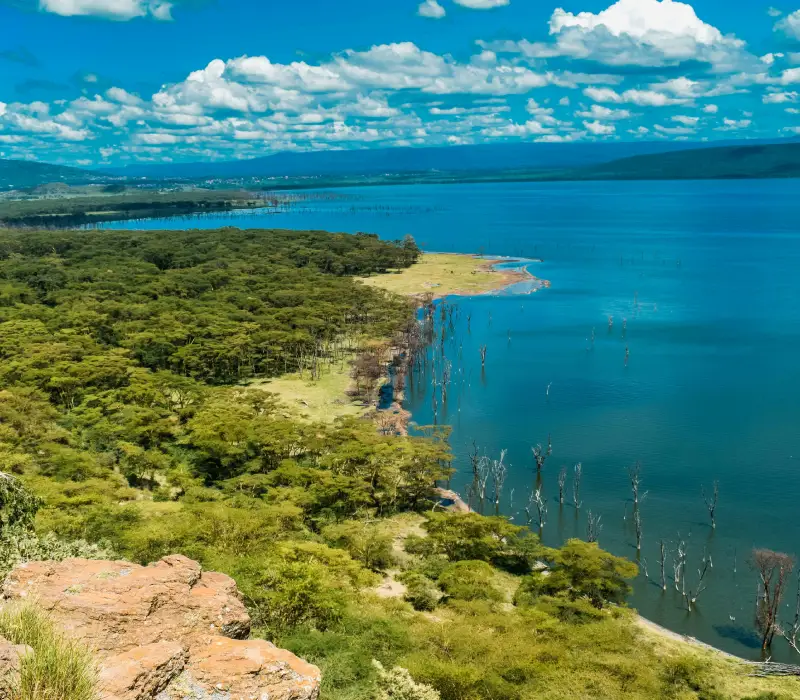 Echoes of the Wild | Nakuru to the Mara