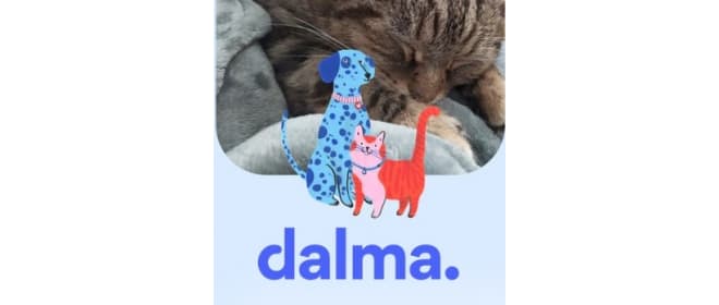 Dalma se mobilise contre l'abandon des animaux