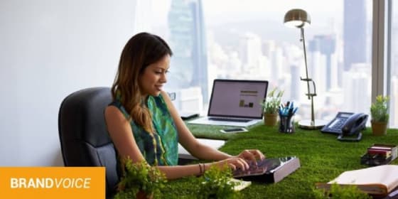 La création d'une entreprise écoresponsable, démarches et formalités ?