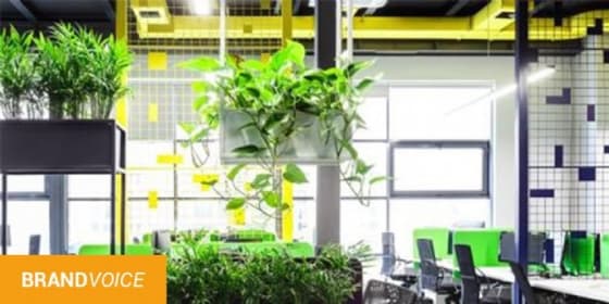 5 conseils pour une entreprise (vraiment) écolo