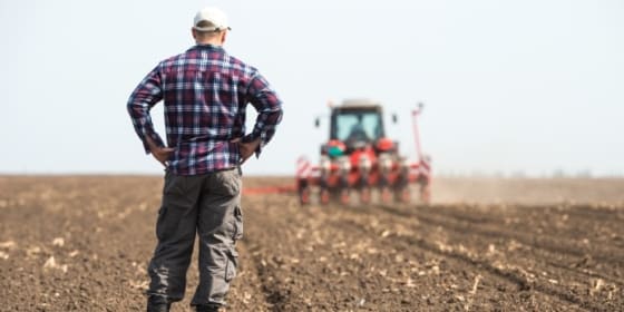 L'agriculture régénératrice séduit de plus en plus d'agriculteurs