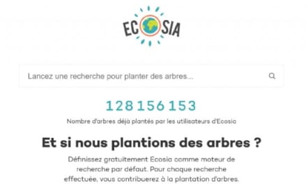 Les grands succès d'Ecosia à travers le monde