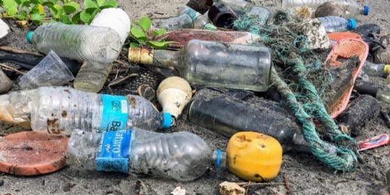 Quelles sont les marques les plus engagées pour l'environnement ?
