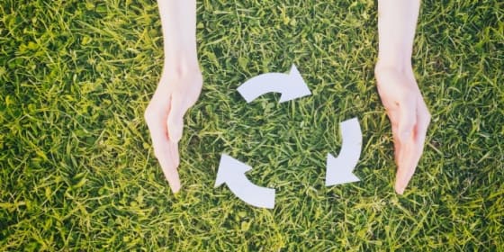 thecamp propose un atelier sur la préservation de la biodiversité en entreprise